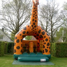 JOXX_VERHUUR_SPRINGKASTEEL_GIRAFFE_05