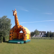 JOXX_VERHUUR_SPRINGKASTEEL_GIRAFFE_04