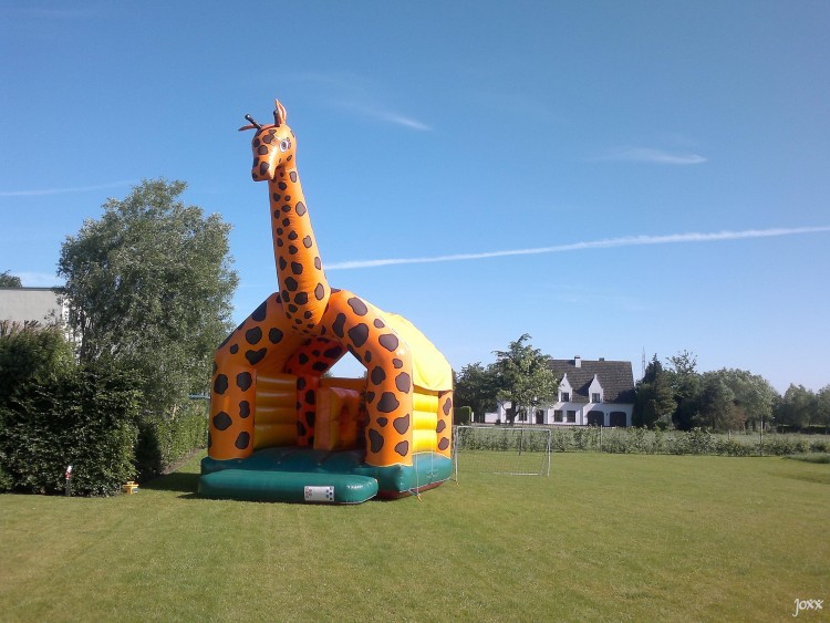 JOXX_VERHUUR_SPRINGKASTEEL_GIRAFFE_04