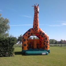 JOXX_VERHUUR_SPRINGKASTEEL_GIRAFFE_02