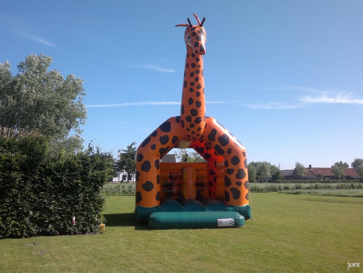 JOXX_VERHUUR_SPRINGKASTEEL_GIRAFFE_02