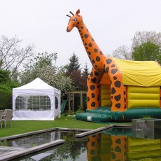 JOXX_VERHUUR_SPRINGKASTEEL_GIRAFFE_01