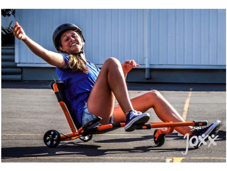 EzyRoller Pro X zwart - verlengbaar