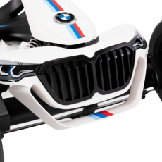 2 Berg Reppy BMW