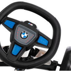11 Berg Reppy BMW